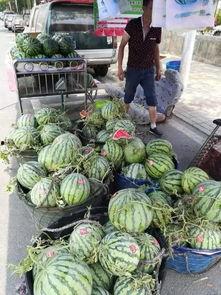 淄博吃瓜爆料事件视频最新,揭秘事件背后惊人真相 第2张 淄博吃瓜爆料事件视频最新,揭秘事件背后惊人真相 第2张